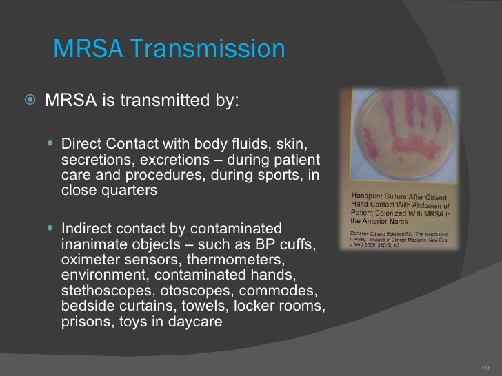 Periop conference mrsa and mssa sep 11 2010