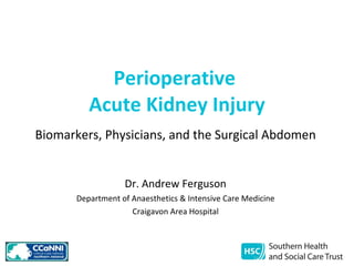 Perioperative  Acute Kidney Injury Biomarkers, Physicians, and the Surgical Abdomen Dr. Andrew Ferguson Department of Anaesthetics & Intensive Care Medicine Craigavon Area Hospital 