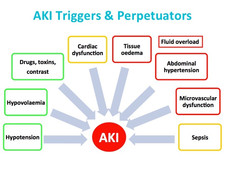 Perioperative Acute Kidney Injury