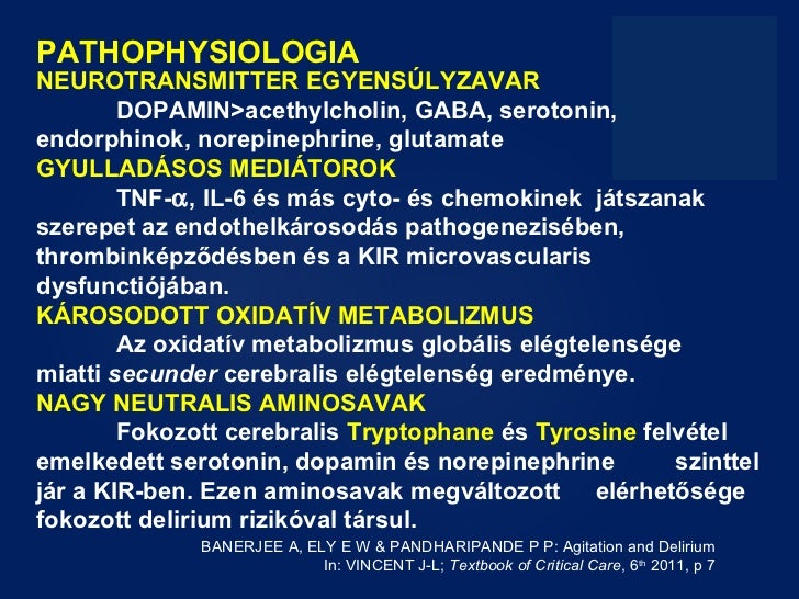 supramolecular amphiphiles