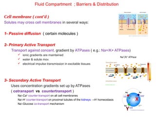 Perioperative fluid and electrolytes - part 1 | PPT