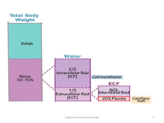 Department of Anesthesiology 5
 