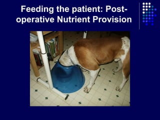 Feeding the patient: Post-
operative Nutrient Provision
 