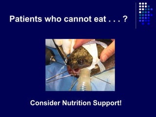 Patients who cannot eat . . . ?
Consider Nutrition Support!
 