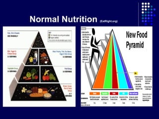 Normal Nutrition (EatRight.org)
 