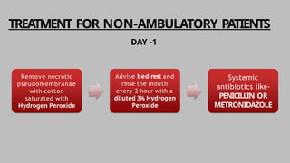 Comprehensive Overview and Treatment of Acute Necrotizing Ulcerative ...