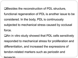 Besides the reconstruction of PDL structure,
functional regeneration of PDL is another issue to be
considered. In the body, PDL is continuously
subjected to mechanical stress caused by occlusal
force.
An in vitro study showed that PDL cells sensitively
responded to mechanical stress for proliferation and
differentiation, and increased the expressions of
tendon-related markers such as periostin and
 