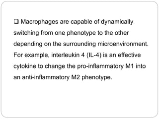  Macrophages are capable of dynamically
switching from one phenotype to the other
depending on the surrounding microenvironment.
For example, interleukin 4 (IL-4) is an effective
cytokine to change the pro-inflammatory M1 into
an anti-inflammatory M2 phenotype.
 