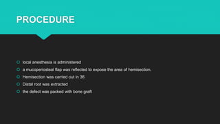 PROCEDURE
 local anesthesia is administered
 a mucoperiosteal flap was reflected to expose the area of hemisection.
 Hemisection was carried out in 36
 Distal root was extracted
 the defect was packed with bone graft
 