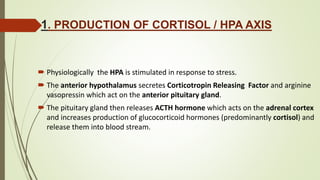1. PRODUCTION OF CORTISOL / HPA AXIS
 Physiologically the HPA is stimulated in response to stress.
 The anterior hypothalamus secretes Corticotropin Releasing Factor and arginine
vasopressin which act on the anterior pituitary gland.
 The pituitary gland then releases ACTH hormone which acts on the adrenal cortex
and increases production of glucocorticoid hormones (predominantly cortisol) and
release them into blood stream.
 