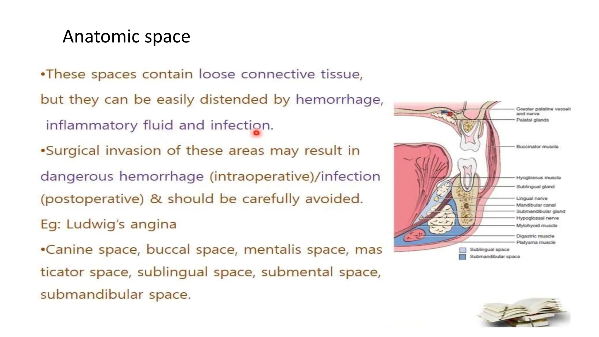 Anatomic space
