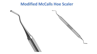 Modified McCalls Hoe Scaler