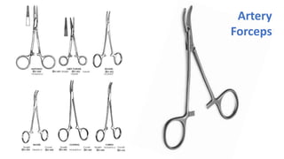 Artery
Forceps