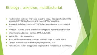 Etiology : unknown, multifactorial
 Final common pathway – increased oxidative stress, cleavage of prolactin to
angiostatic NT 16 kDA fragment and impaired VEGF signalling.
 Angiogenic imbalance : reduced VEGF in late gestation due to upregulated
sFLT1.
 Prolactin : 16K PRL causes endothelial damage and myocardial dysfunction.
 Inflammatory cytokines : increased TNF, IL-6, CRP.
 Myocarditis : role is uncertain.
 Abnormal immune response: escaped fetal cell lodge in cardiac tissue.
 Genetic predisposition: GNB3 has polymorphism of C825T
 Hemodynamic factor: exaggerated response of LV remodelling & hypertrophy.
 