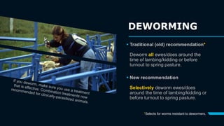  Traditional (old) recommendation*
Deworm all ewes/does around the
time of lambing/kidding or before
turnout to spring pa...