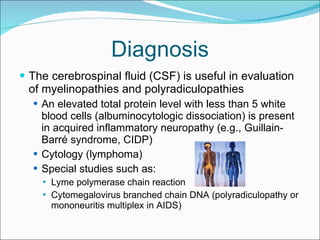 Diagnosis The cerebrospinal fluid (CSF) is useful in evaluation of myelinopathies and polyradiculopathies An elevated total protein level with less than 5 white blood cells (albuminocytologic dissociation) is present in acquired inflammatory neuropathy (e.g., Guillain-Barré syndrome, CIDP) Cytology (lymphoma) Special studies such as: Lyme polymerase chain reaction Cytomegalovirus branched chain DNA (polyradiculopathy or mononeuritis multiplex in AIDS) 
