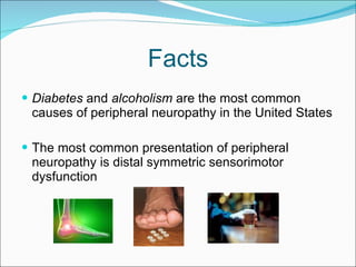 Facts Diabetes  and  alcoholism  are the most common causes of peripheral neuropathy in the United States The most common presentation of peripheral neuropathy is distal symmetric sensorimotor dysfunction 