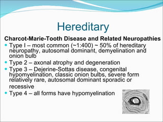 Hereditary Charcot-Marie-Tooth Disease and Related Neuropathies Type I – most common (~1:400) ~ 50% of hereditary neuropathy, autosomal dominant, demyelination and onion bulb  Type 2 – axonal atrophy and degeneration Type 3 – Dejerine-Sottas disease, congenital hypomyelination, classic onion bulbs, severe form  relatively rare, autosomal dominant sporadic or  recessive Type 4 – all forms have hypomyelination 