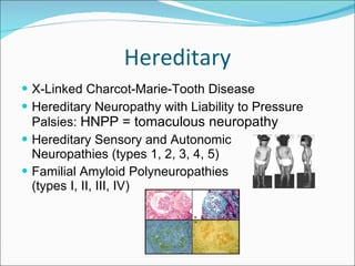 Hereditary X-Linked Charcot-Marie-Tooth Disease Hereditary Neuropathy with Liability to Pressure Palsies:  HNPP = tomaculous neuropathy Hereditary Sensory and Autonomic  Neuropathies (types 1, 2, 3, 4, 5) Familial Amyloid Polyneuropathies  (types I, II, III, IV) 