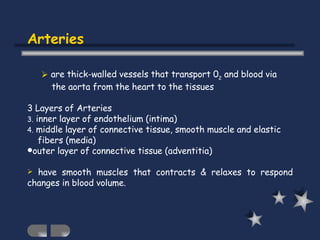 Arteries <ul><ul><li>are thick-walled vessels that transport 0 2  and blood via </li></ul></ul><ul><ul><li>the aorta from ...