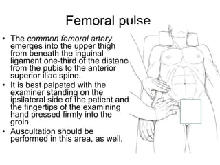 Femoral pulse  The  common femoral artery  emerges into the upper thigh from beneath the inguinal ligament one-third of the distance from the pubis to the anterior superior iliac spine.  It is best palpated with the examiner standing on the ipsilateral side of the patient and the fingertips of the examining hand pressed firmly into the groin.  Auscultation should be performed in this area, as well. 