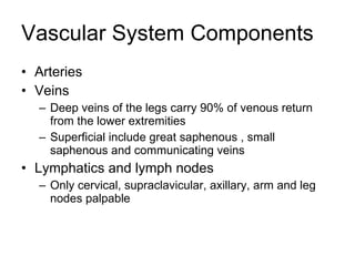 Vascular System Components Arteries Veins Deep veins of the legs carry 90% of venous return from the lower extremities Superficial include great saphenous , small saphenous and communicating veins Lymphatics and lymph nodes Only cervical, supraclavicular, axillary, arm and leg nodes palpable 