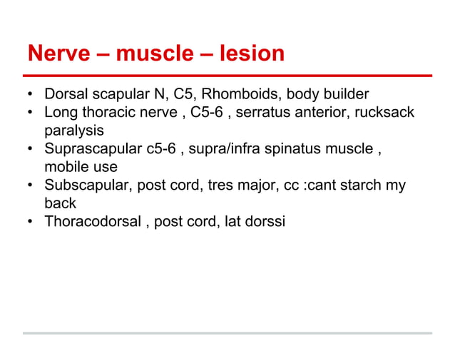 Peripheral+Anatomy.pptx