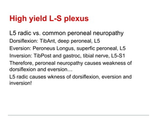 Peripheral+Anatomy.pptx