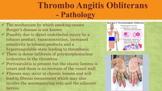 Peripheral arterial diseases | PDF
