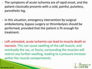 ⦁ The symptoms of acute ischemia are of rapid onset, and the
patient classically presents with a cold, painful, pulseless,
paresthetic leg.
⦁ In this situation, emergency intervention by surgical
embolectomy, bypass surgery or thrombolysis should be
performed, provided that the patient is fit enough for
treatment.
⦁ Left untreated, acute ischemia can lead to muscle death or
necrosis. This can cause swelling of the calf muscle, and
eventually the sac, or fascia, surrounding the muscles will
restrict any further swelling, leading to a pressure increase
within the muscle compartments.
 
