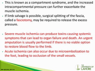 ⦁ This is known as a compartment syndrome, and the increased
intracompartmental pressure can further exacerbate the
muscle ischemia.
⦁ If limb salvage is possible, surgical splitting of the fascia,
called a fasciotomy, may be required to release the excess
pressure.
⦁ Severe muscle ischemia can produce toxins causing systemic
symptoms that can lead to organ failure and death. An urgent
amputation is usually performed if there is no viable option
to restore blood flow to the limb.
⦁ Acute ischemia can also occur due to microembolization to
the foot, leading to occlusion of the small vessels.
 