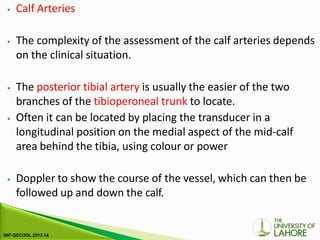 ⦁ Calf Arteries
⦁ The complexity of the assessment of the calf arteries depends
on the clinical situation.
⦁ The posterior tibial artery is usually the easier of the two
branches of the tibioperoneal trunk to locate.
⦁ Often it can be located by placing the transducer in a
longitudinal position on the medial aspect of the mid-calf
area behind the tibia, using colour or power
⦁ Doppler to show the course of the vessel, which can then be
followed up and down the calf.
 