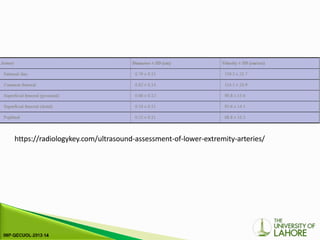 https://radiologykey.com/ultrasound-assessment-of-lower-extremity-arteries/
 