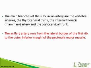 ⦁ The main branches of the subclavian artery are the vertebral
arteries, the thyrocervical trunk, the internal thoracic
(mammary) artery and the costocervical trunk.
⦁ The axillary artery runs from the lateral border of the first rib
to the outer, inferior margin of the pectoralis major muscle.
 