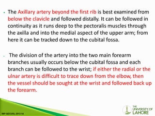 ⦁ The Axillary artery beyond the first rib is best examined from
below the clavicle and followed distally. It can be followed in
continuity as it runs deep to the pectoralis muscles through
the axilla and into the medial aspect of the upper arm; from
here it can be tracked down to the cubital fossa.
⦁ The division of the artery into the two main forearm
branches usually occurs below the cubital fossa and each
branch can be followed to the wrist; if either the radial or the
ulnar artery is difficult to trace down from the elbow, then
the vessel should be sought at the wrist and followed back up
the forearm.
 