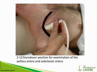 2-13.Transducer position for examination of the
axillary artery and subclavian artery
 
