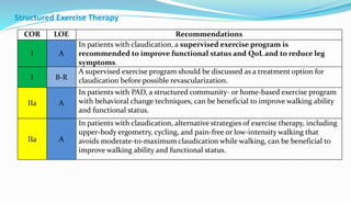 Peripheral artery disease | PPTX