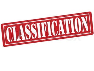 Date Your Footer Here 7
 