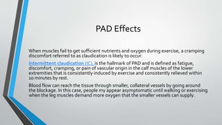 PAD Effects
When muscles fail to get sufficient nutrients and oxygen during exercise, a cramping
discomfort referred to as claudication is likely to occur.
Intermittent claudication (IC), is the hallmark of PAD and is defined as fatigue,
discomfort, cramping, or pain of vascular origin in the calf muscles of the lower
extremities that is consistently induced by exercise and consistently relieved within
10 minutes by rest.
Blood flow can reach the tissue through smaller, collateral vessels by going around
the blockage. In this case, people my appear asymptomatic until walking or exercising
when the leg muscles demand more oxygen that the smaller vessels can supply.
 