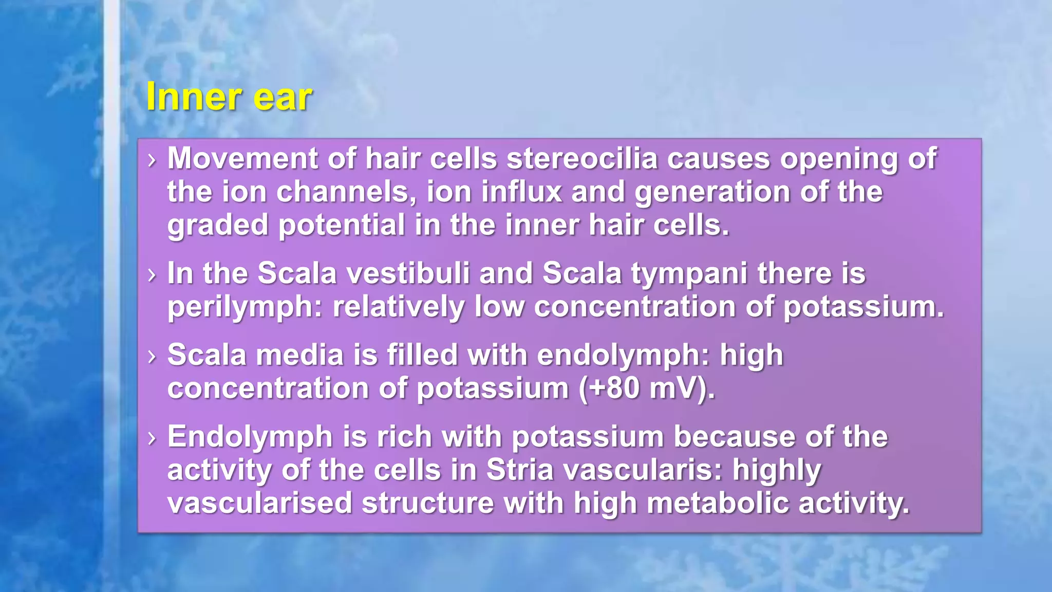 › Movement of hair cells stereocilia causes opening of
the ion channels, ion influx and generation of the
graded potential in the inner hair cells.
› In the Scala vestibuli and Scala tympani there is
perilymph: relatively low concentration of potassium.
› Scala media is filled with endolymph: high
concentration of potassium (+80 mV).
› Endolymph is rich with potassium because of the
activity of the cells in Stria vascularis: highly
vascularised structure with high metabolic activity.
Inner ear
 