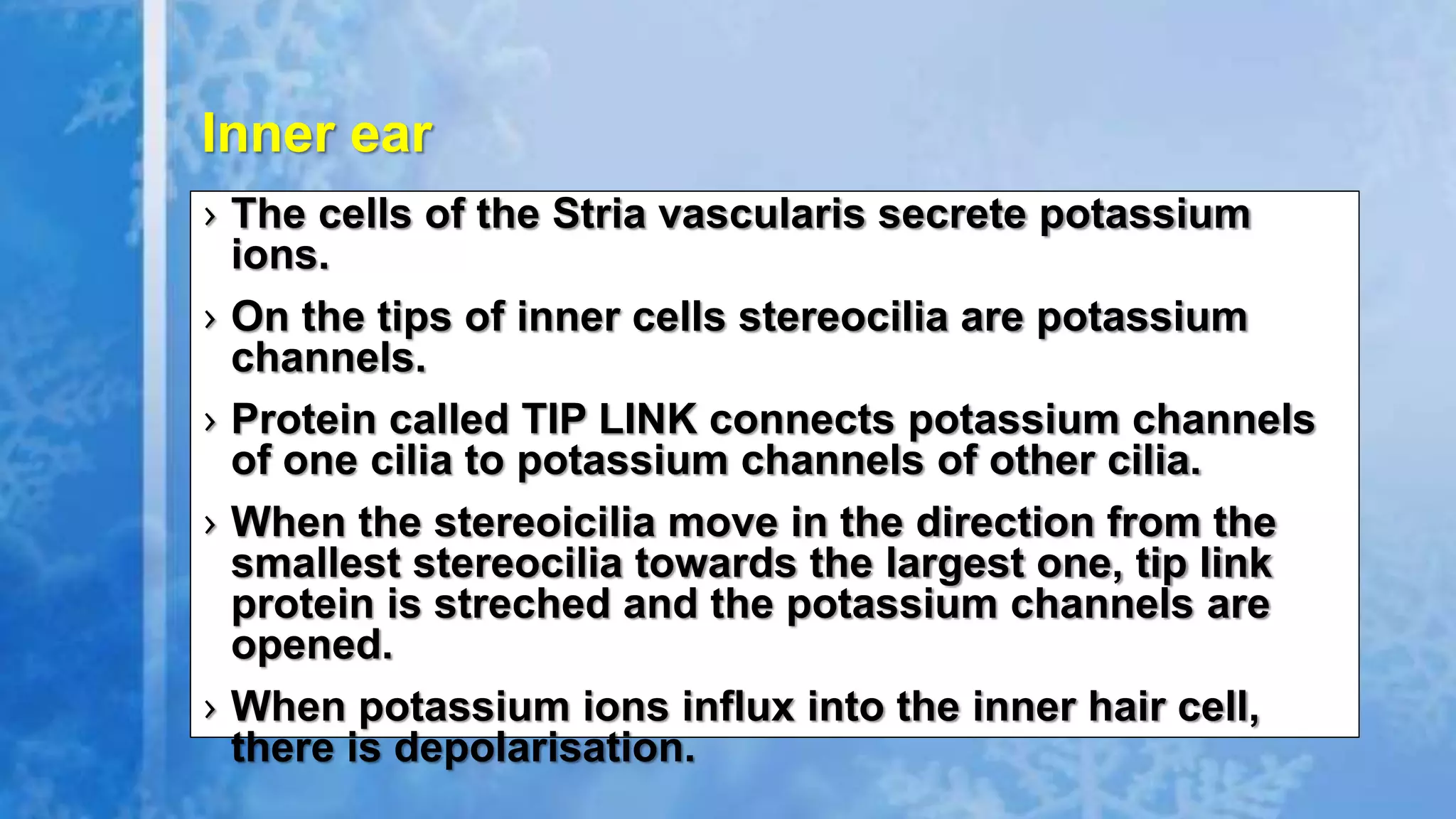 › The cells of the Stria vascularis secrete potassium
ions.
› On the tips of inner cells stereocilia are potassium
channels.
› Protein called TIP LINK connects potassium channels
of one cilia to potassium channels of other cilia.
› When the stereoicilia move in the direction from the
smallest stereocilia towards the largest one, tip link
protein is streched and the potassium channels are
opened.
› When potassium ions influx into the inner hair cell,
there is depolarisation.
Inner ear
 
