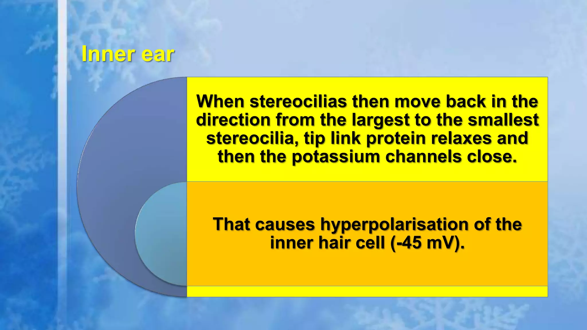 When stereocilias then move back in the
direction from the largest to the smallest
stereocilia, tip link protein relaxes and
then the potassium channels close.
That causes hyperpolarisation of the
inner hair cell (-45 mV).
Inner ear
 