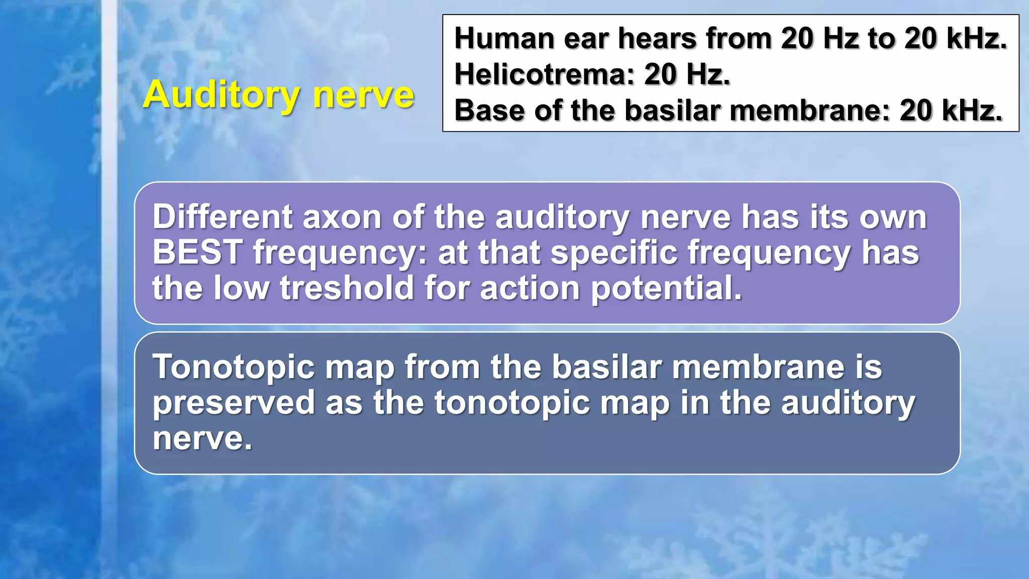 Different axon of the auditory nerve has its own
BEST frequency: at that specific frequency has
the low treshold for action potential.
Tonotopic map from the basilar membrane is
preserved as the tonotopic map in the auditory
nerve.
Auditory nerve
Human ear hears from 20 Hz to 20 kHz.
Helicotrema: 20 Hz.
Base of the basilar membrane: 20 kHz.
 