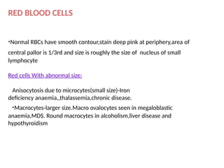 Peripheral Blood smear examination in lab | PPTX