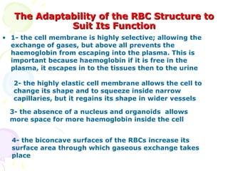 The Adaptability of the RBC Structure to
             Suit Its Function
• 1- the cell membrane is highly selective; allowing the
  exchange of gases, but above all prevents the
  haemoglobin from escaping into the plasma. This is
  important because haemoglobin if it is free in the
  plasma, it escapes in to the tissues then to the urine

   2- the highly elastic cell membrane allows the cell to
   change its shape and to squeeze inside narrow
   capillaries, but it regains its shape in wider vessels

  3- the absence of a nucleus and organoids allows
  more space for more haemoglobin inside the cell


  4- the biconcave surfaces of the RBCs increase its
  surface area through which gaseous exchange takes
  place
 