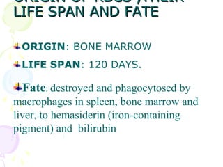 ORIGIN OF RBCS ,THEIR
LIFE SPAN AND FATE

 ORIGIN: BONE MARROW
 LIFE SPAN: 120 DAYS.

 Fate: destroyed and phagocytosed by
macrophages in spleen, bone marrow and
liver, to hemasiderin (iron-containing
pigment) and bilirubin
 