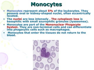 Monocytes
• Monocytes represent about 5% of the leukocytes. They
  possess oval or kidney-shaped nuclei, often eccentrically
  located.
• The nuclei are less intensely . The cytoplasm less is
  basophilic with small azurophilic granules (lysosomes).
• Monocytes are part of the Mononuclear Phagocyte
  System. They are non-terminal cells and can differentiate
  into phagocytic cells such as macrophages.
• Monocytes that enter the tissues do not return to the
  blood.
 