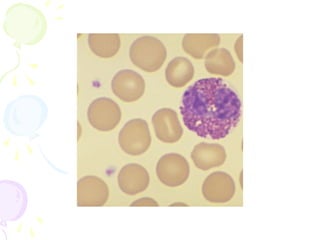 Peripheral blood