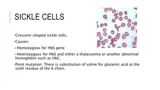 SICKLE CELLS
•Crescent-shaped sickle cells.
•Causes:
Homozygous for HbS gene
Heterozygous for HbS and either a thalassemia or another abnormal
hemoglobin such as HbC.
•Point mutation: There is substitution of valine for glutamic acid at the
sixth residue of the b chain.
 