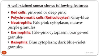 28/01/2025
A well-stained smear shows following features:
• Red cells: pink-red or deep pink
• Polychromatic cells (Reticulocytes): Gray-blue
• Neutrophils: Pale pink cytoplasm; mauve-
purple granules
• Eosinophils: Pale-pink cytoplasm; orange-red
granules
• Basophils: Blue cytoplasm; dark blue-violet
granules
34
 